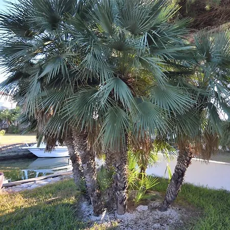 399-casa Moderna Con Amarre 14m Y Piscina Privada * Empuriabrava